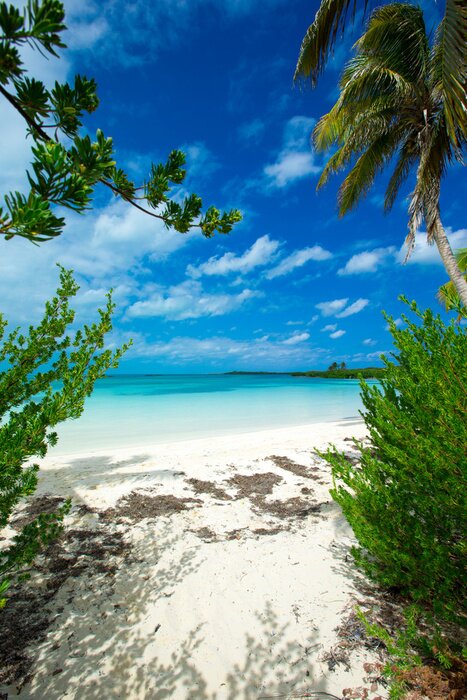 Fototapete Meer 3D mit Palmen