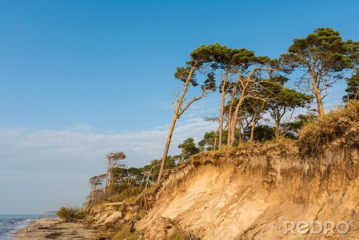 Fototapete Meer Dünen und Bäume