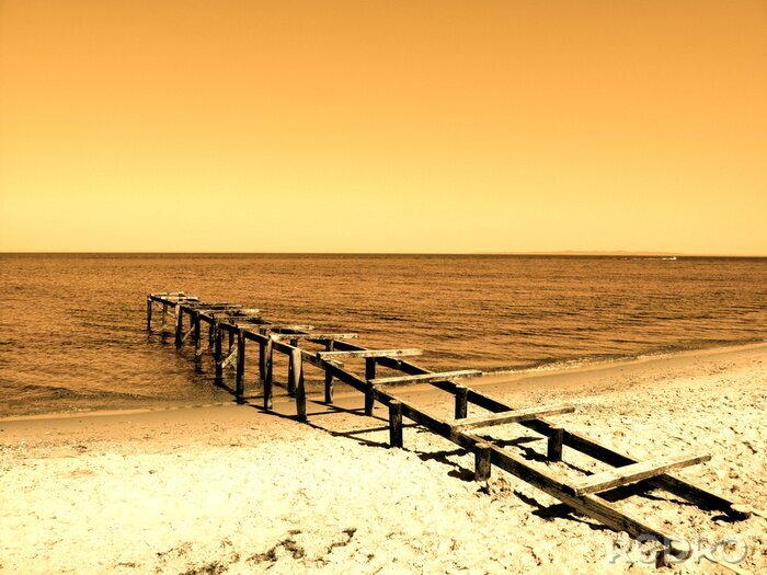 Fototapete Meer in Sepia