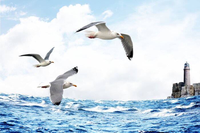 Fototapete Meer Leuchtturm und Möwen