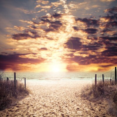 Fototapete Meer und Eingang zum Strand