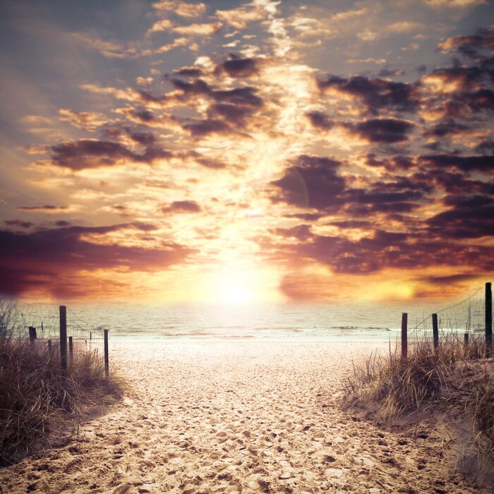 Fototapete Meer und Eingang zum Strand