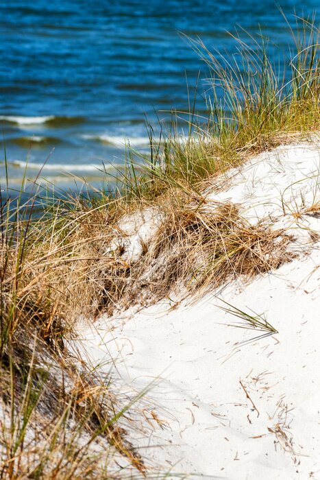 Fototapete Meer und Natur