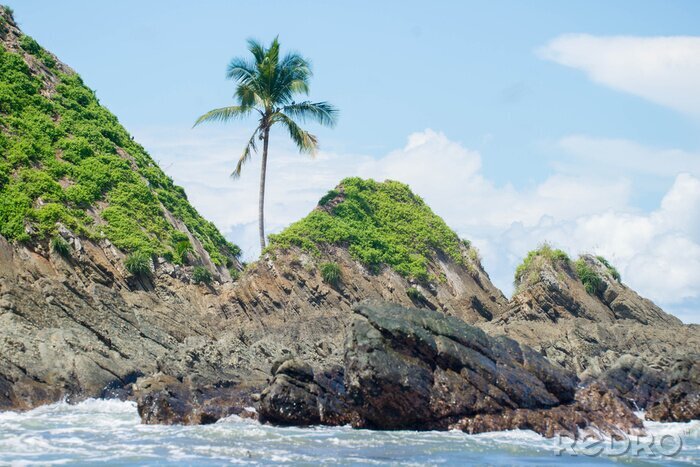 Fototapete Meer und Pflanzen in Costa Rica