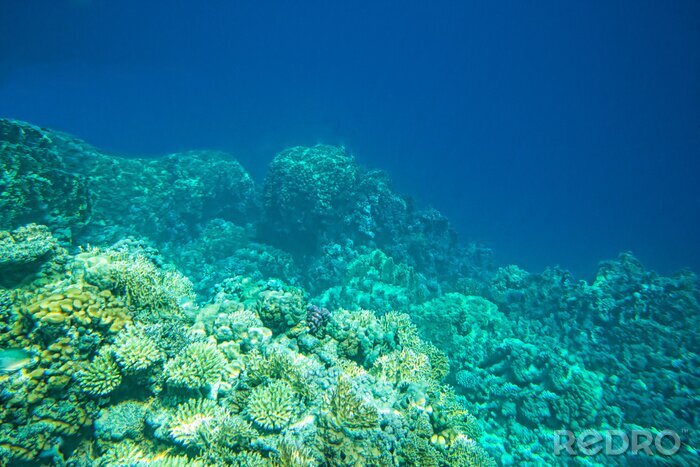 Fototapete Meer unter der Wasserfläche
