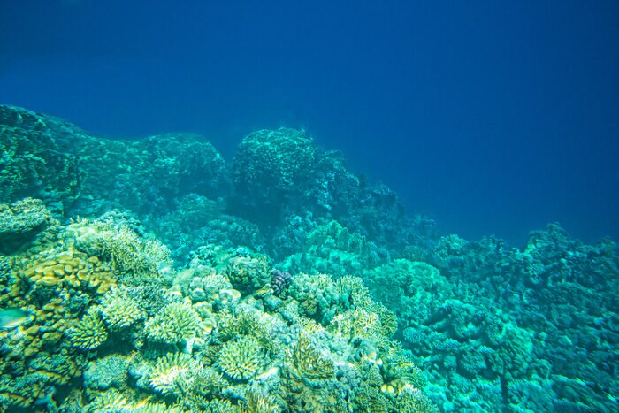 Fototapete Meer unter der Wasserfläche