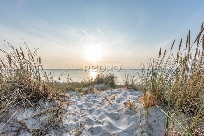 Fototapete meerblick