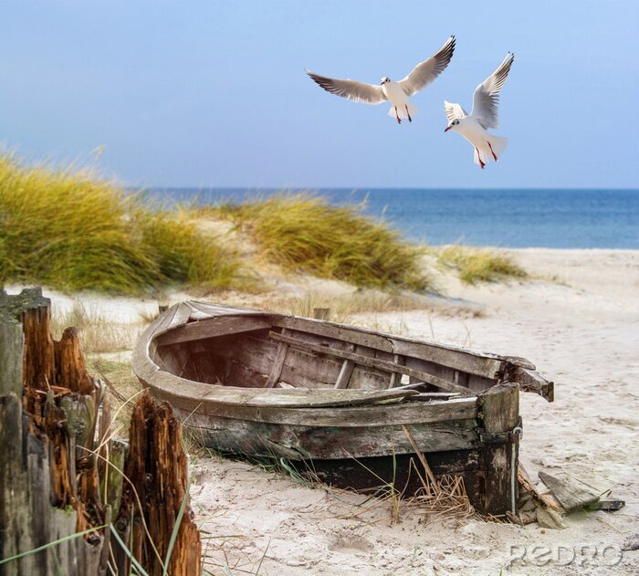 Fototapete Meereslandschaften mit einem alten Boot