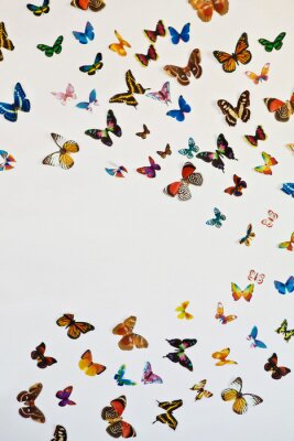 Fototapete Mehrfarbige fliegende Schmetterlinge