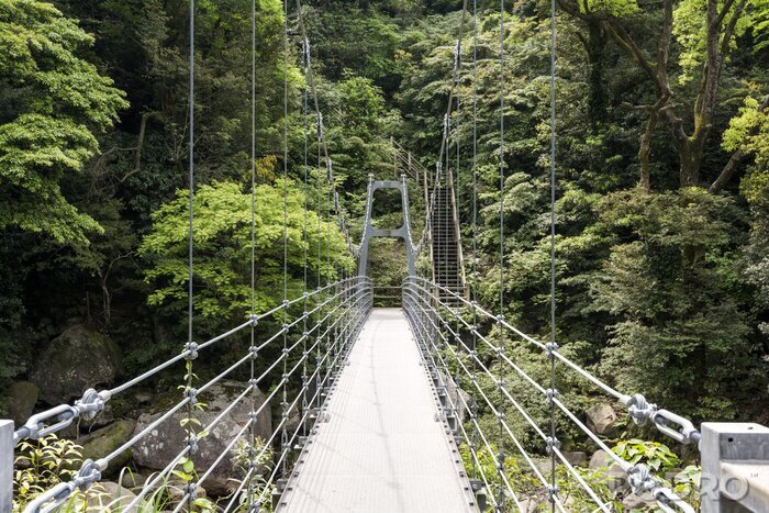 Fototapete Metallhängebrücke im dichten Wald