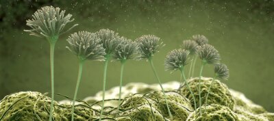 Fototapete Mikroskopische Aufnahme im 3D-Konzept