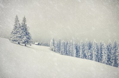 Fototapete Minimalistische winterlandschaft