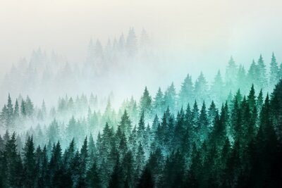 Minimalistischer Wald im Nebel