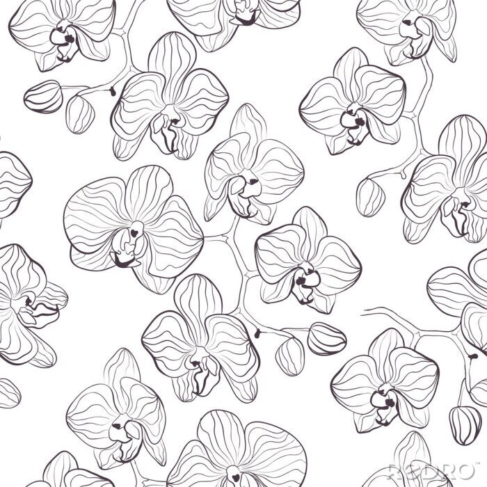 Fototapete Minimalistisches Muster mit Orchidee