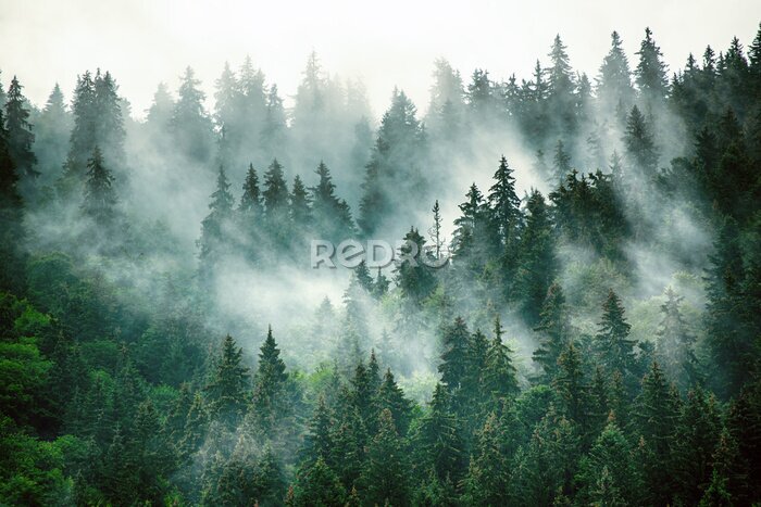 Fototapete Misty mountain landscape