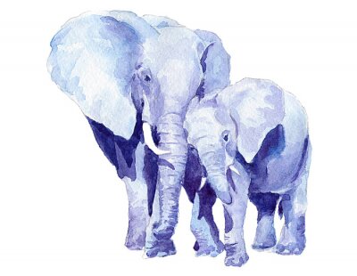 Fototapete Mit Aquarellfarbe gemalte Elefanten