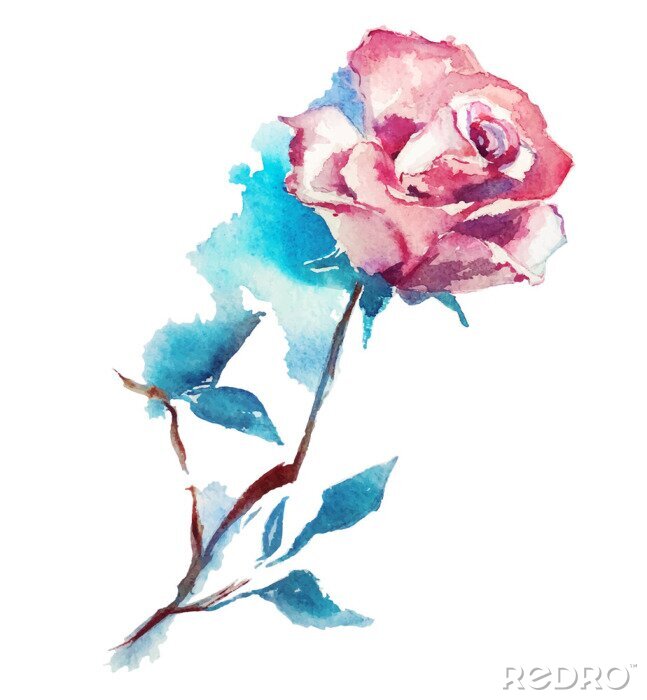 Fototapete Mit Aquarellfarbe gemalte rosa Rose