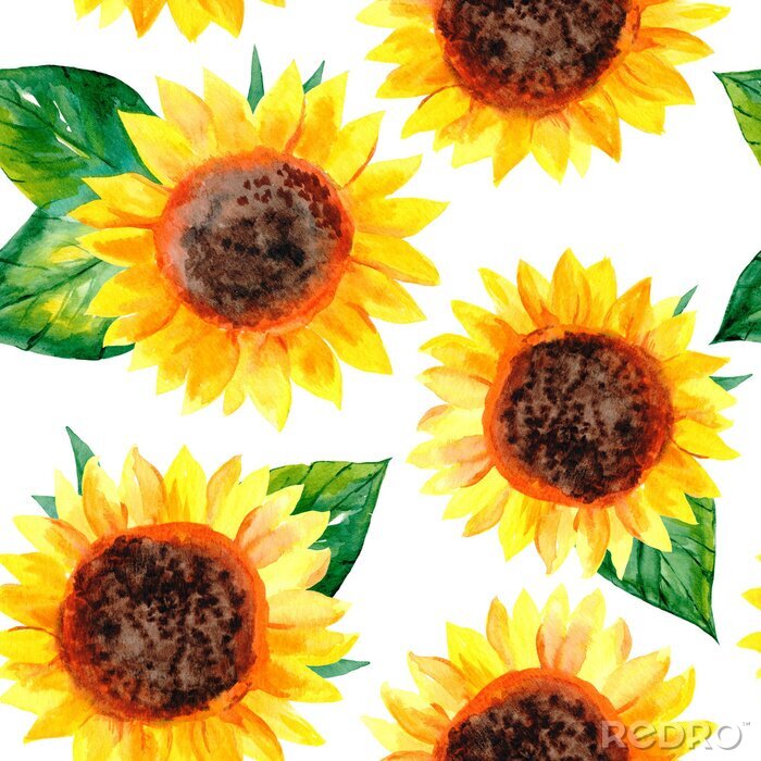 Fototapete Mit Aquarellfarbe gemalte Sonnenblumen