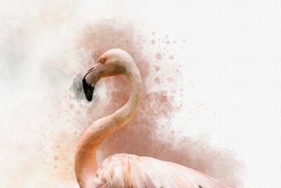 Mit Aquarellfarbe gemalter Flamingo
