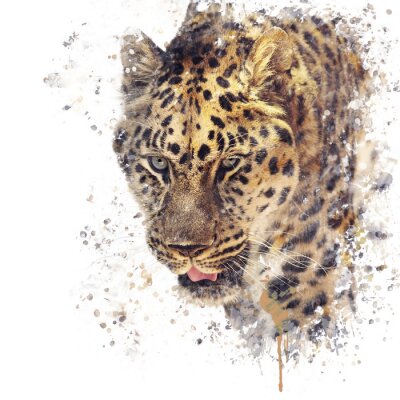 Fototapete Mit Aquarellfarbe gemalter Leopard
