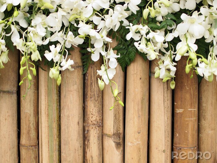 Fototapete Mit Blumen bewachsener Bambuszaun