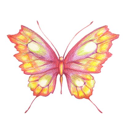 Fototapete Mit Buntstiften gezeichneter Schmetterling