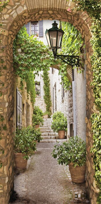 Fototapete  Mit Efeu bewachsene Allee