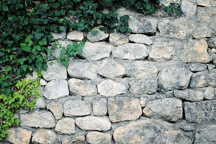 Fototapete Mit Efeu bewachsene Mauer