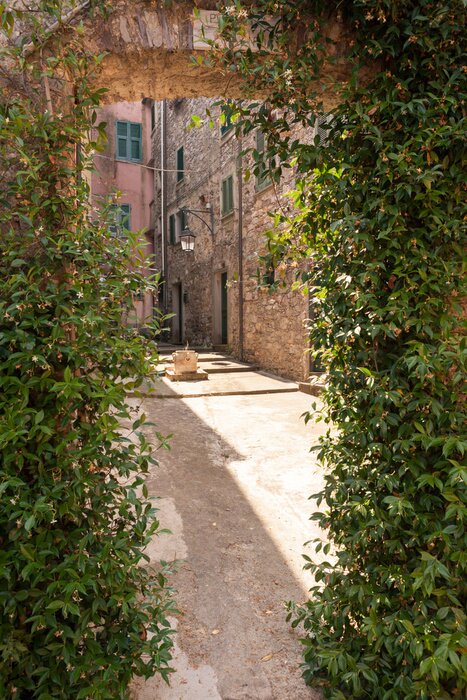 Fototapete Mit Efeu bewachsener Durchgang