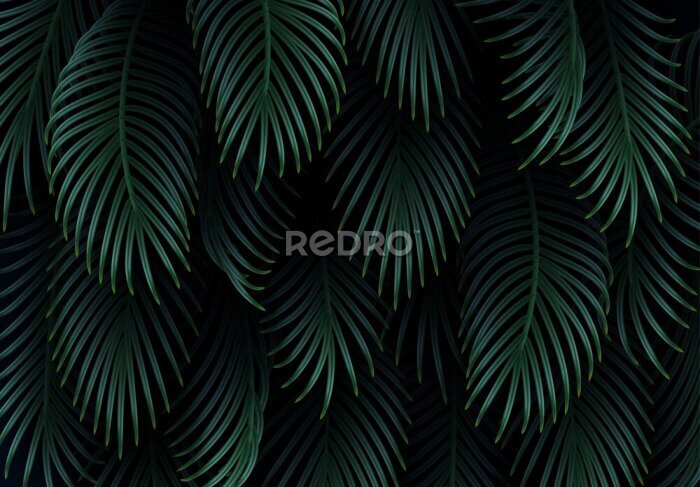 Fototapete Modernes Muster realistische tropische Blätter