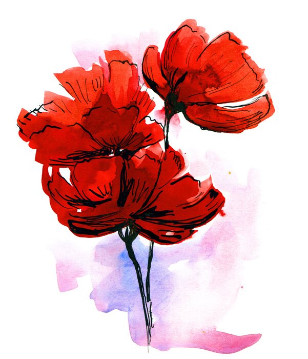 Fototapete Mohnblumen Strauß