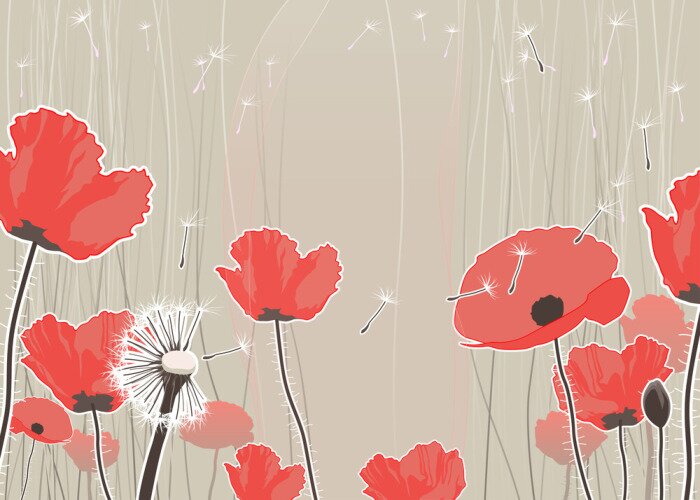 Fototapete Mohnblumen und Pusteblumen