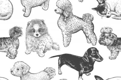 Monochrom skizzierte Hunde