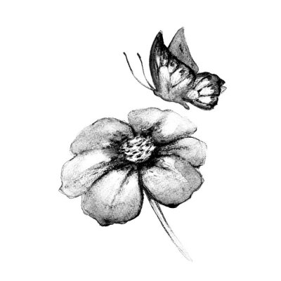 Fototapete Monochromatische Illustration Schmetterling und Blume
