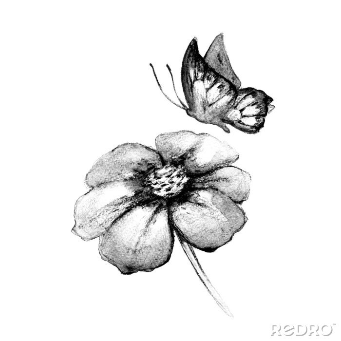 Fototapete Monochromatische Illustration Schmetterling und Blume