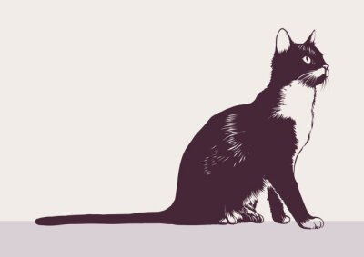 Fototapete Monochrome Grafiken mit einer Katze