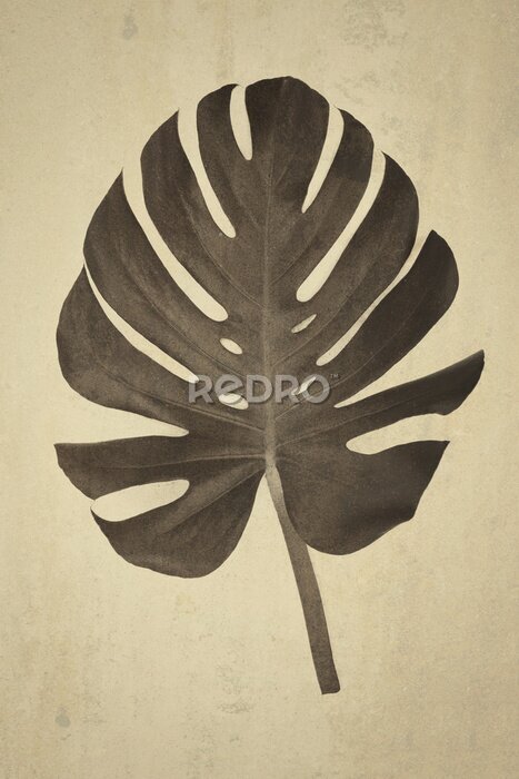 Fototapete Monstera in Sepia