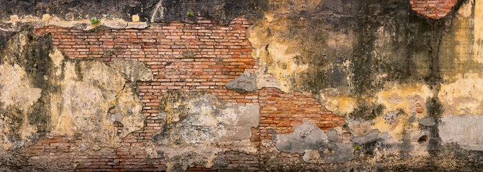 Fototapete Moos an der alten Mauer