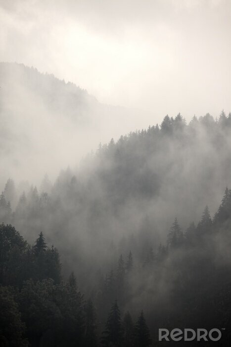 Fototapete Morgennebel über den Bäumen in den Bergen