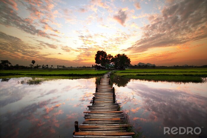 Fototapete Motiv Natur und Wege  auf dem Hintergrund von Wasser
