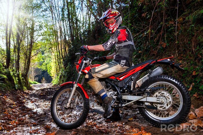 Fototapete Motocross im Wald