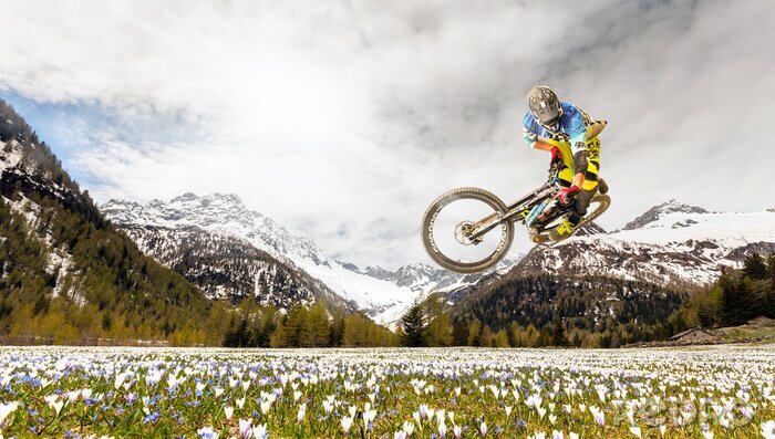 Fototapete Motorrad und Blumen in den Bergen