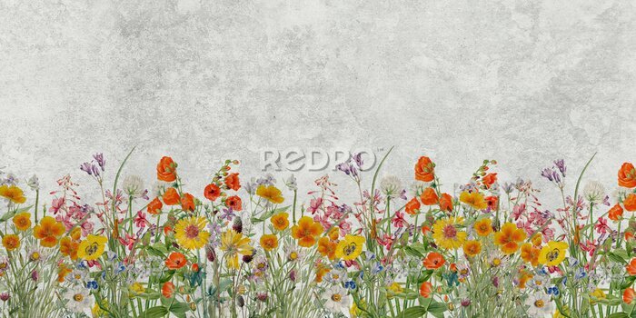 Fototapete Mural for walls, photo wallpapers, decorative drawing with flowers. Flowers in the grunge style. Background for the wedding.