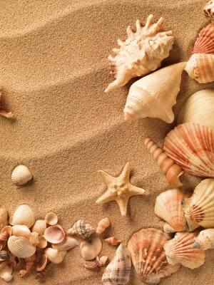 Fototapete Muscheln auf Sand