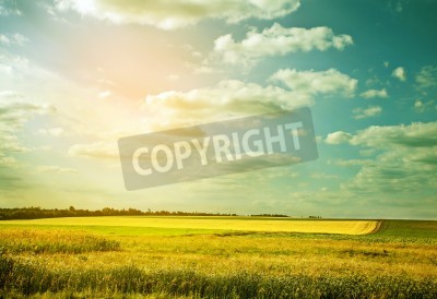 Fototapete Muscheln auf Sand vor dem Hintergrund des Himmels