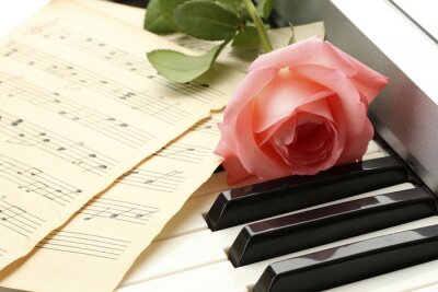 Fototapete Musik Klavier und Rose