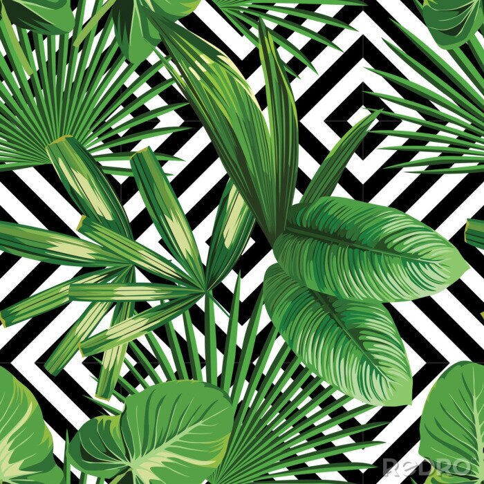 Fototapete Muster mit Natur und geometrischer Hintergrund