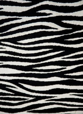 Fototapete Muster mit schwarz-weißem Zebra