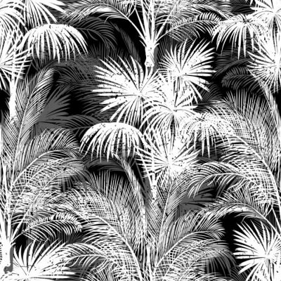 Fototapete Muster mit schwarz-weißen Palmen