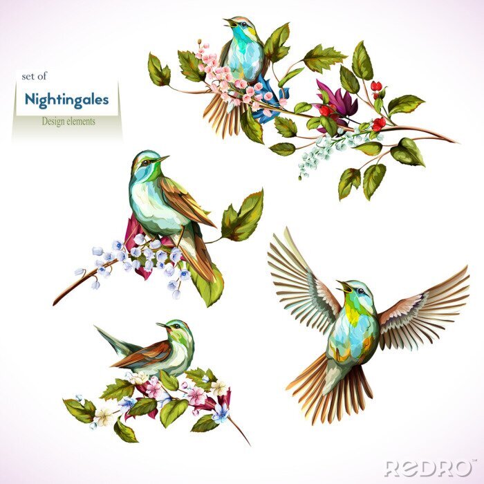 Fototapete Nachtigall und Blätter